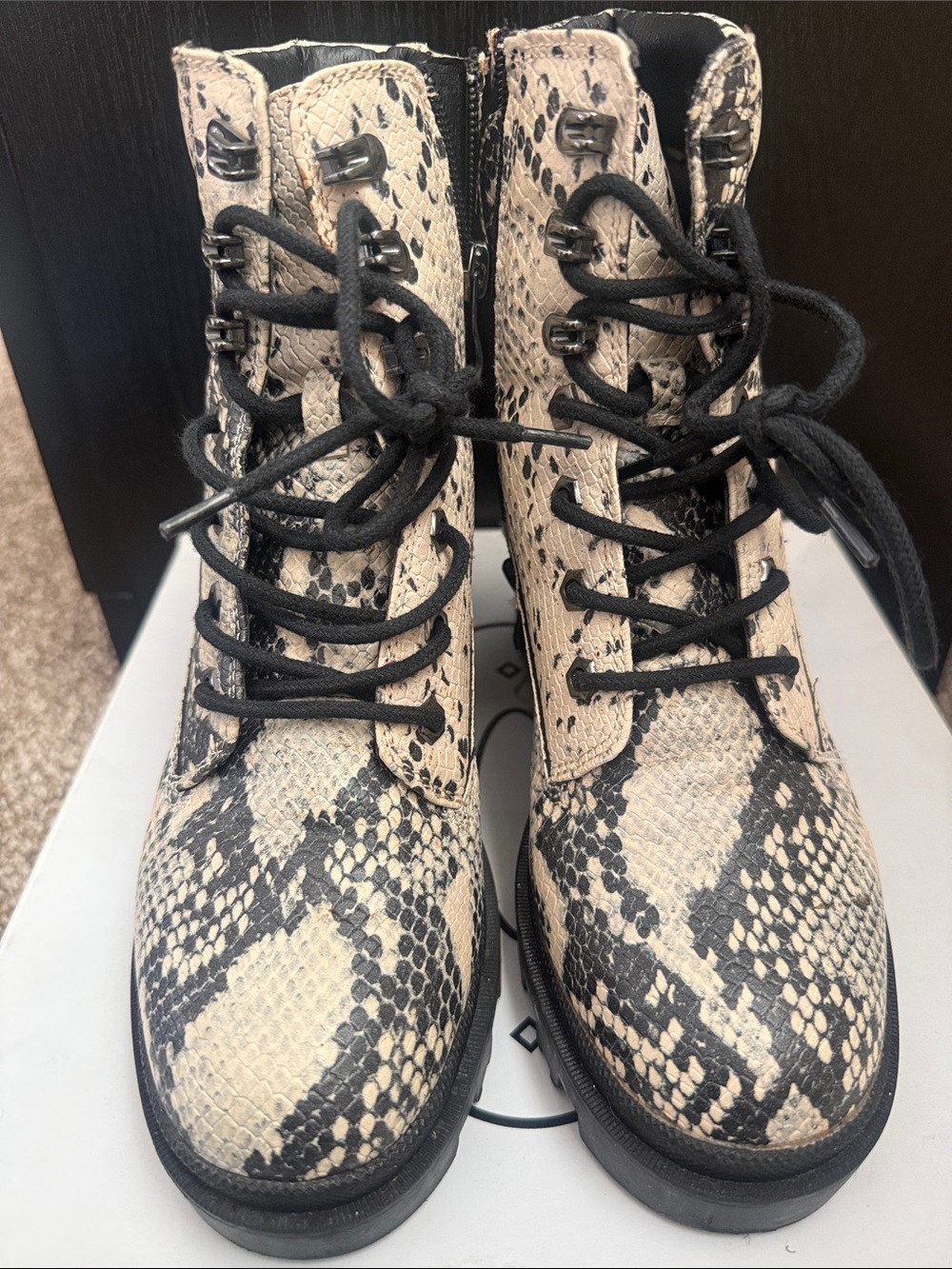 Steve Madden Snake-Print Lace-Up Combat Boots in Beige and Black
